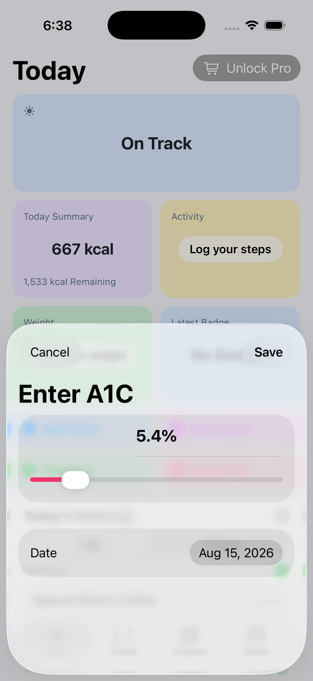 A1C entry screen on iPhone