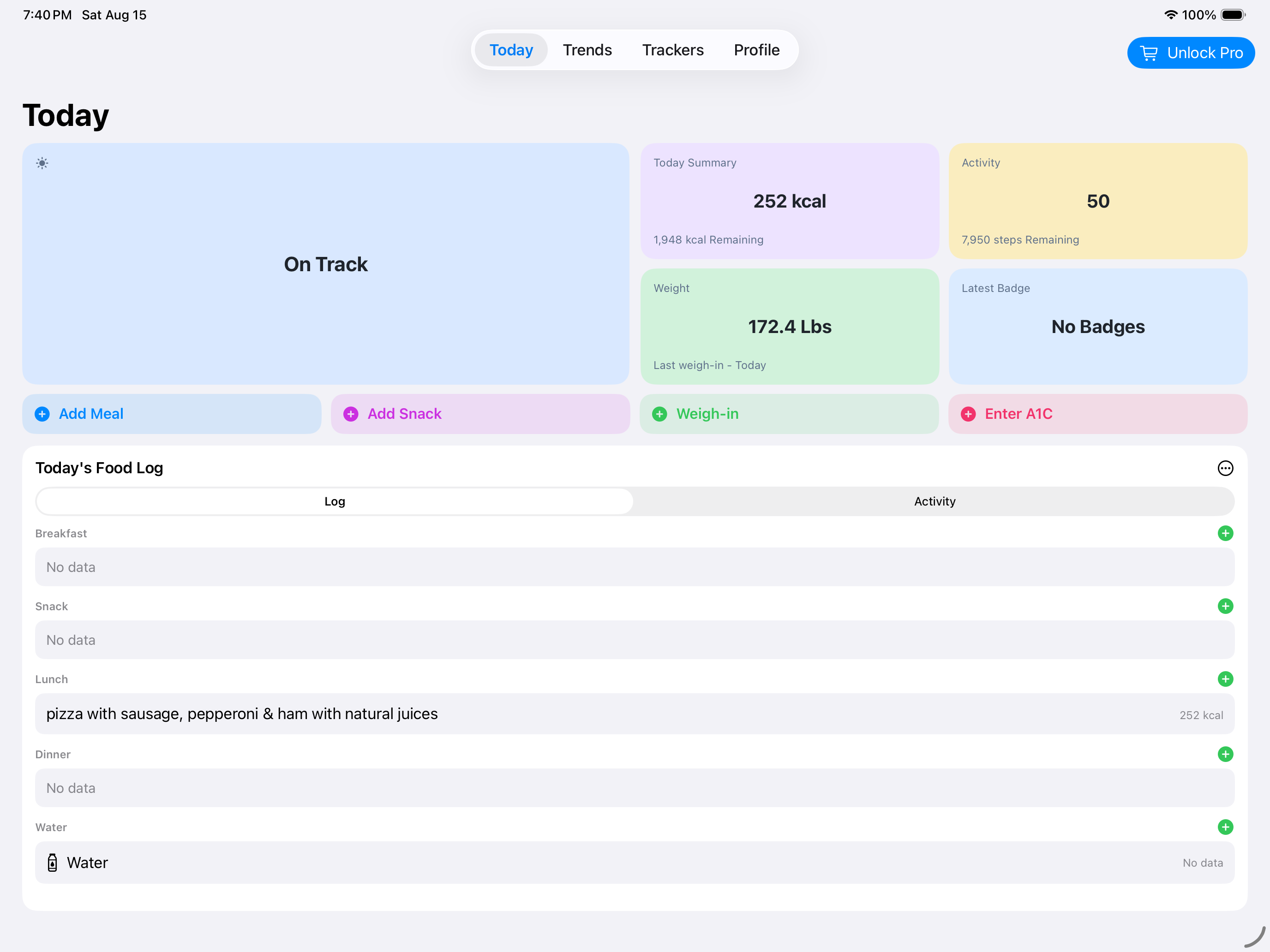 BeFit Tracker Today on iPad