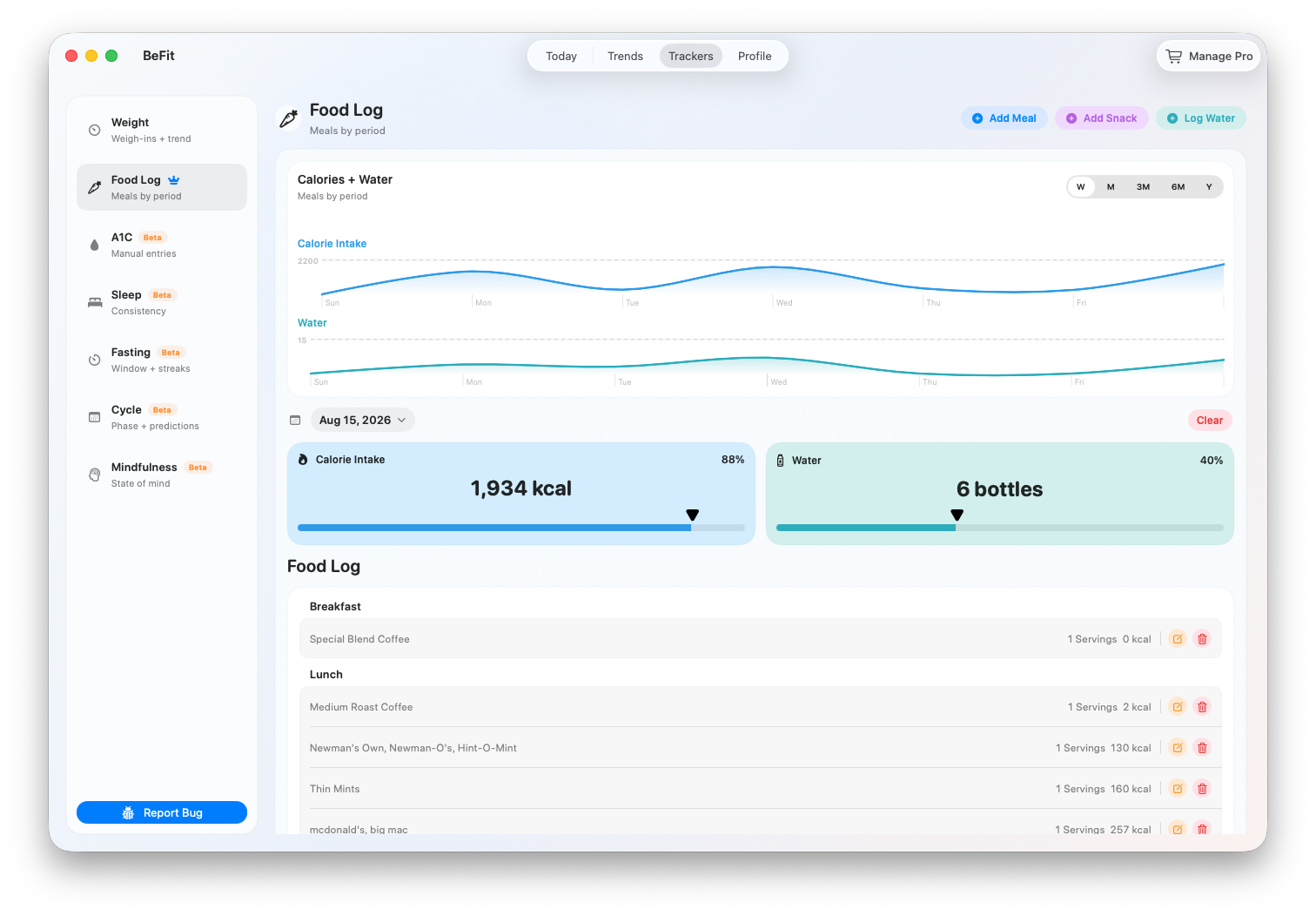 Food Log summary and date controls on Mac
